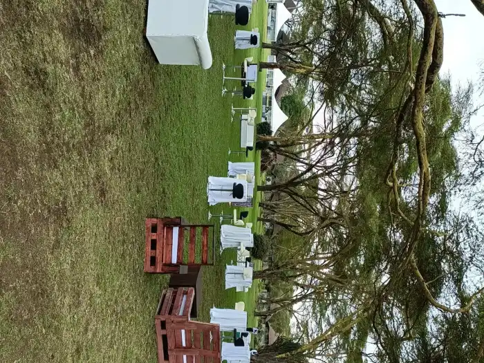 Outdoor lounge setup with pallet sofas on a lawn under large trees.