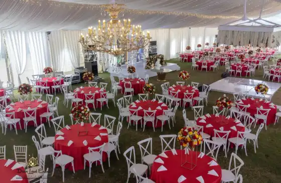 Amina and David Garden Reception